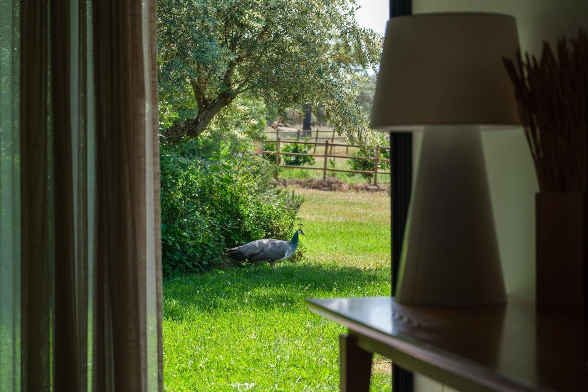 Herdade Da Cortesia Hotel 아비스 외부 사진